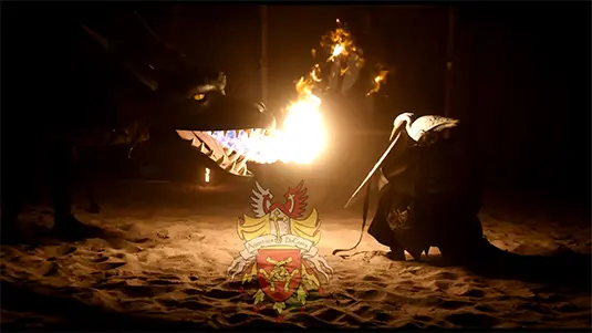 Video 4